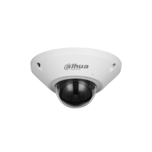 DH-IPC-EB5541P-AS-PV